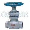 U11SM-16，U11SM-16C，U11SM-16P，U11SM-16R，內(nèi)螺紋柱塞閥