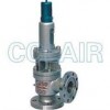 A40Y-64C，A40Y-64I，A40Y-100C，A40Y-100I，帶封閉散熱器彈簧全啟式安全閥