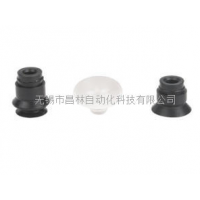 ZP2UN,ZP2US,ZP2UU,ZP2UF,ZP2CN,ZP2CS,ZP2CU,ZP2CF,ZP2BN,ZP系列真空吸盤(pán)